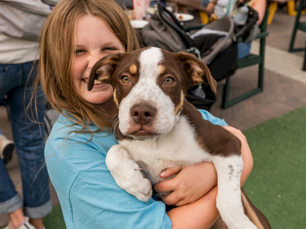 A person smiling while holding a brown and white dog. The background shows people sitting and socializing at an outdoor setting.
