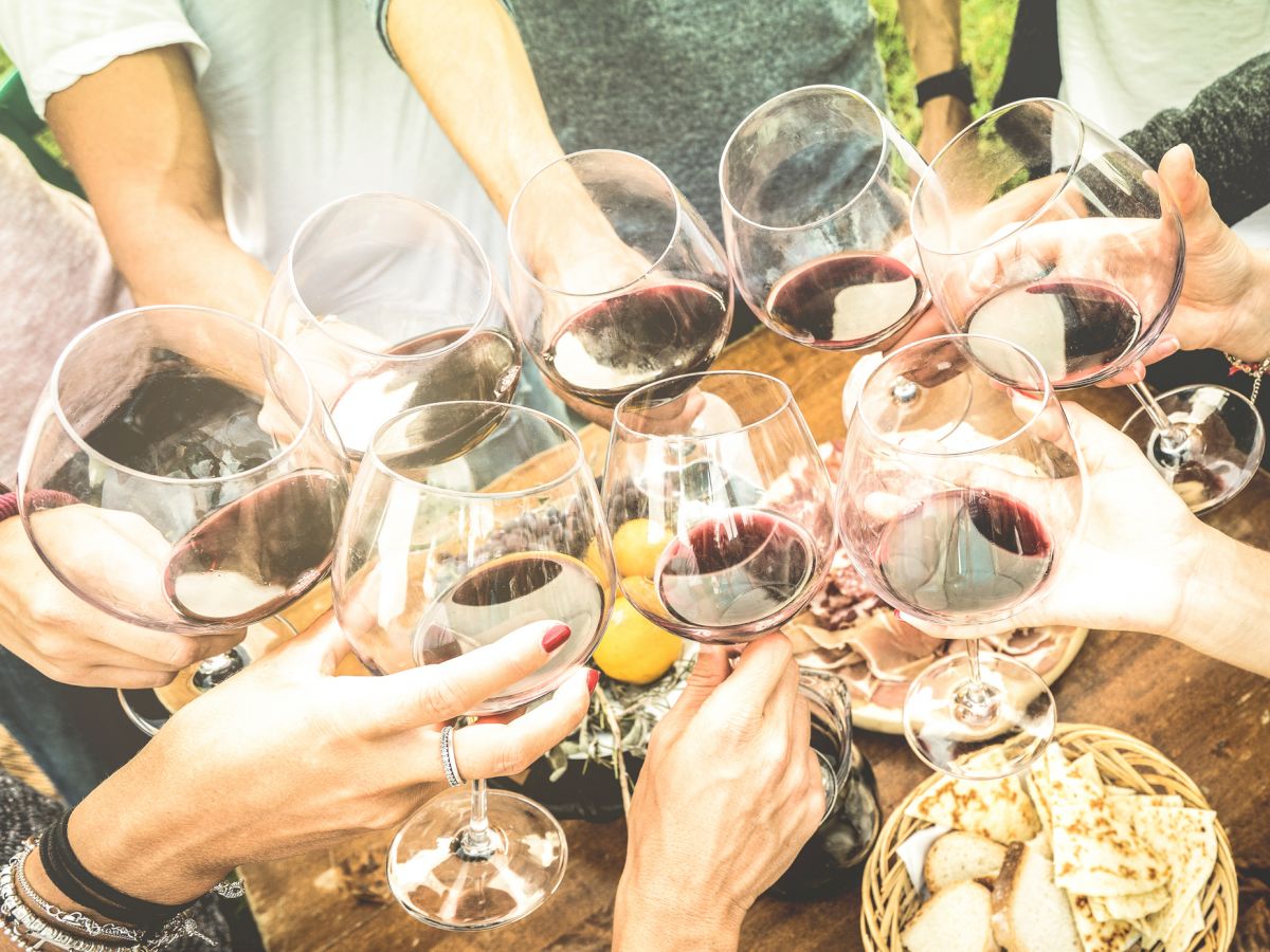 people toasting wine glasses