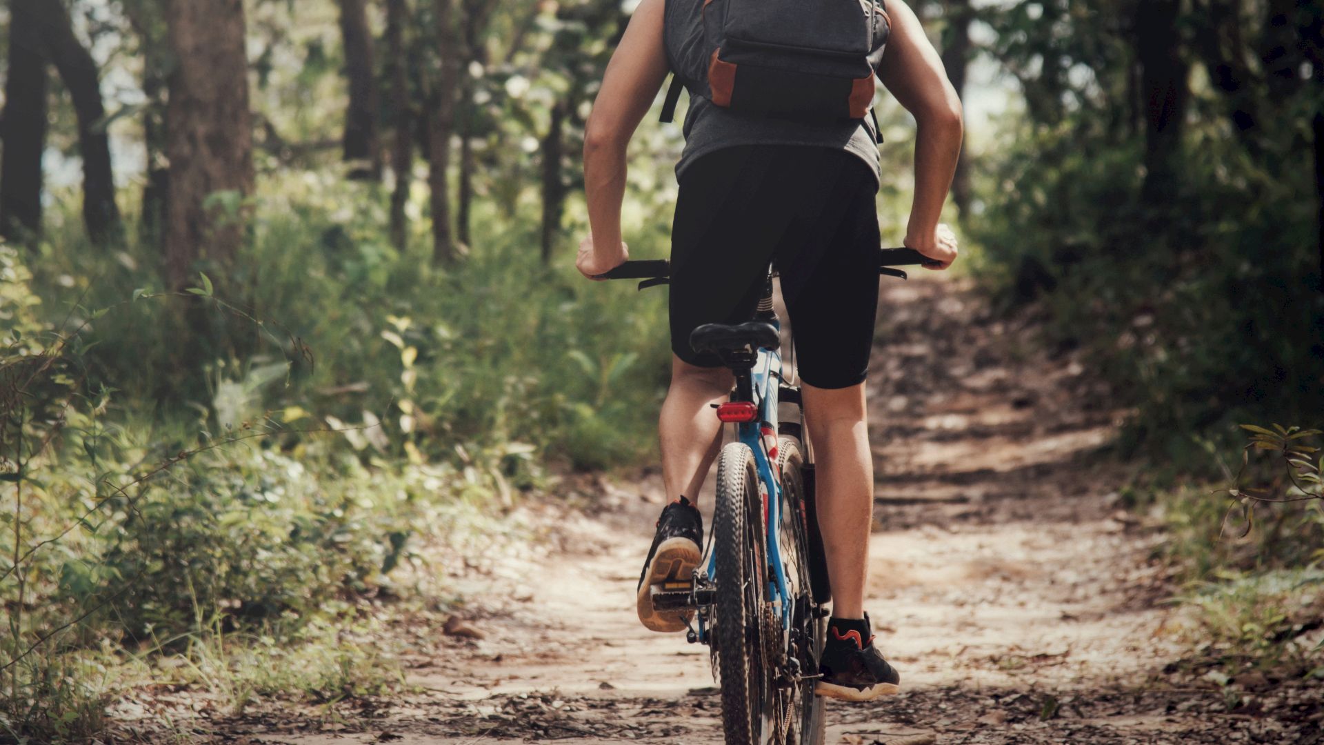 A person, wearing a backpack, is riding a bicycle on a forested dirt trail, surrounded by lush greenery on a sunny day.