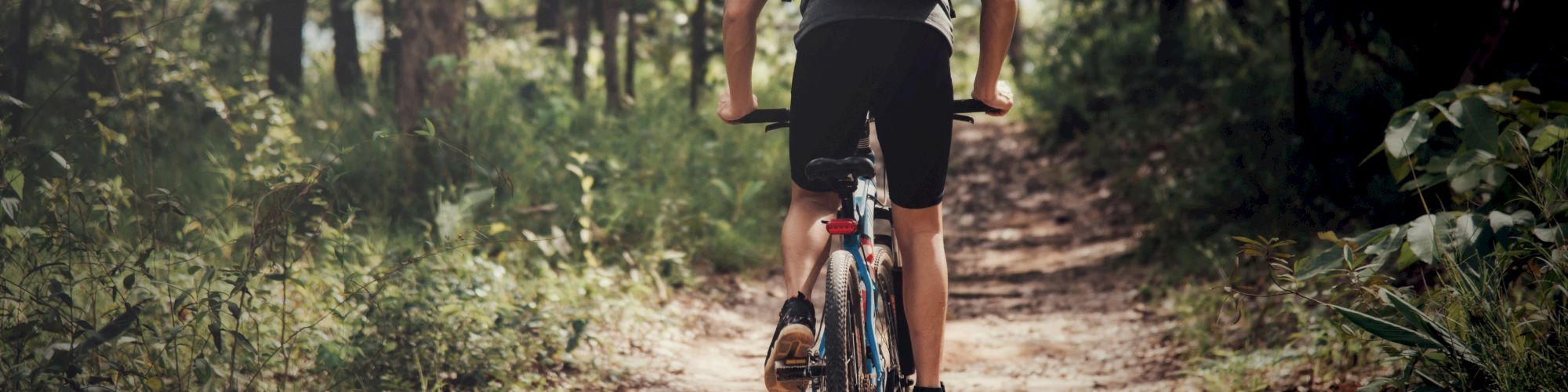 A person, wearing a backpack, is riding a bicycle on a forested dirt trail, surrounded by lush greenery on a sunny day.