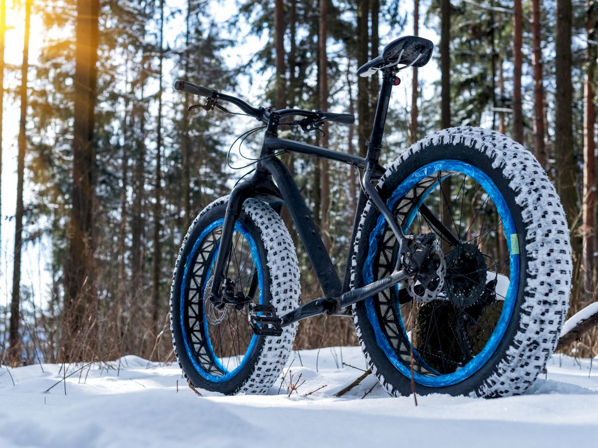 mountain bike with snow tires