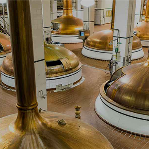 The image shows a large room filled with traditional copper brewing kettles in a brewery, used for beer production.