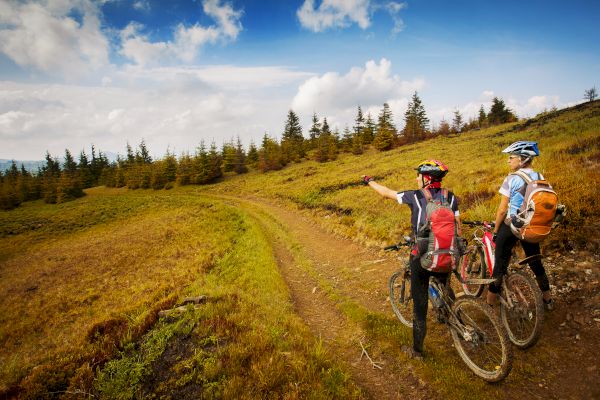 two mountain bikers looking at the view