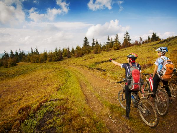 two mountain bikers looking at the view