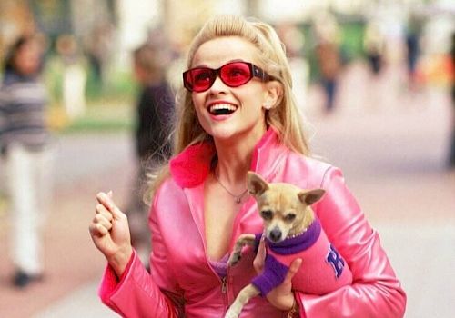 A person in a pink outfit, holding a small dog in a purple sweater, smiles while walking outdoors, carrying a red handbag.