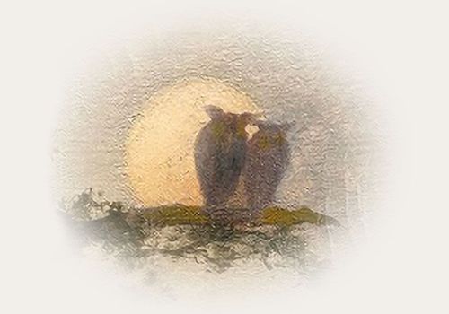 Two tall vases or silhouettes on a small patch of land, set against a large setting sun, with a soft watercolor-style, hazy border.
