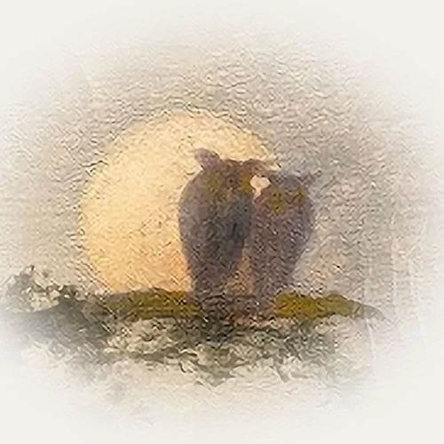 The Eddy Taproom & Hotel